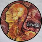 PATHOLOGIST (Czech Republic) - 