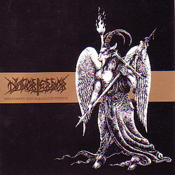 DISFORTERROR (Brazil) - 