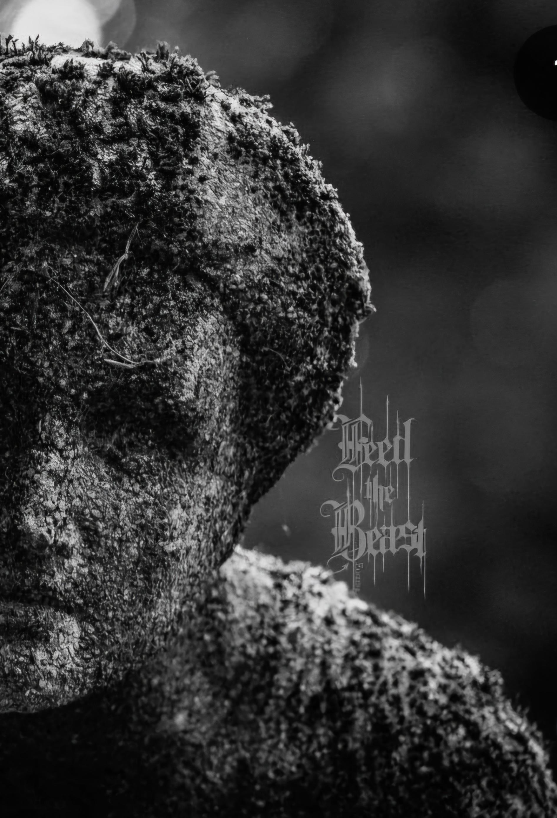 Feed The Beast  # 5  Zine